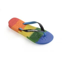 Slippers Havaianas Top Logomania Multicolor Rainbow -Buffalo Winkel logomania mult 8269 a