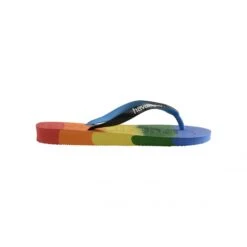 Slippers Havaianas Top Logomania Multicolor Rainbow -Buffalo Winkel logomania multi 8269 b